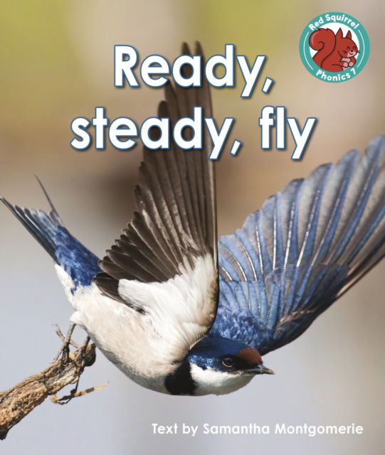 Cover for Samantha Montgomerie · Ready, steady, fly - Red Squirrel Phonics Level 7 Set 2b (Paperback Book) (2023)