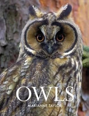 Cover for Marianne Taylor · Owls (Hardcover Book) (2012)