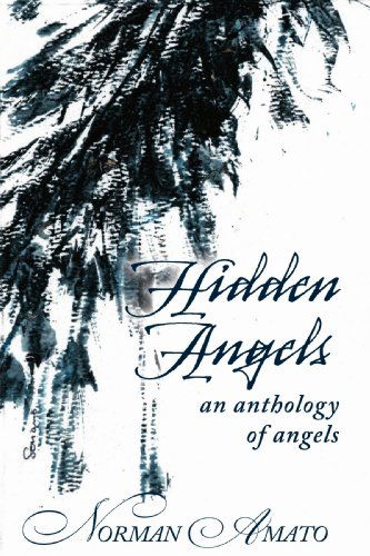 Cover for Norman Amato · Hidden Angels: an Anthology of Angels (Paperback Book) (2008)