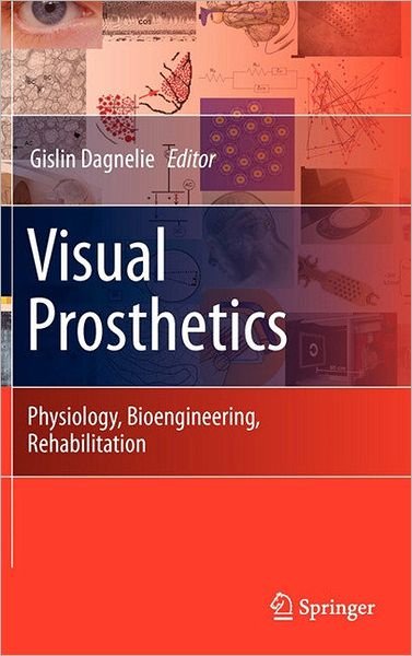 Cover for Gislin Dagnelie · Visual Prosthetics: Physiology, Bioengineering, Rehabilitation (Hardcover bog) [2011 edition] (2011)