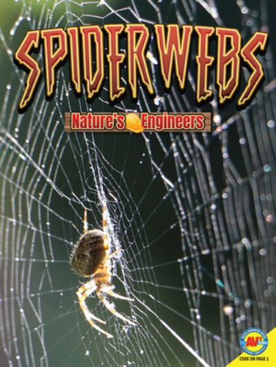 Cover for Nancy Furstinger · Spider Webs (Hardcover Book) (2019)