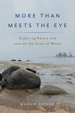 Cover for Margie Patlak · More Than Meets the Eye: Exploring Nature and Loss on the Coast of Maine (Paperback Book) (2021)