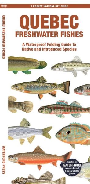 Cover for Morris, Matthew, Waterford Press · Quebec Freshwater Fishes: A Folding Guide to Native and Introduced Species - Pocket Naturalist Guide (Pamphlet) (2024)