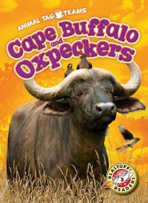 Cover for Kari Schuetz · Cape Buffalo and Oxpeckers (Hardcover Book) (2019)