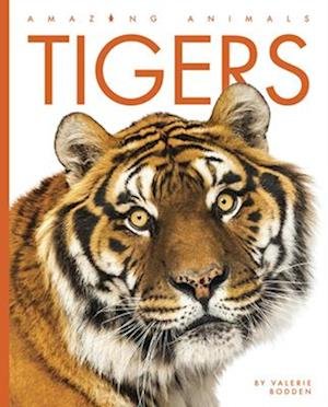 Cover for Valerie Bodden · Tigers (Bok) (2022)