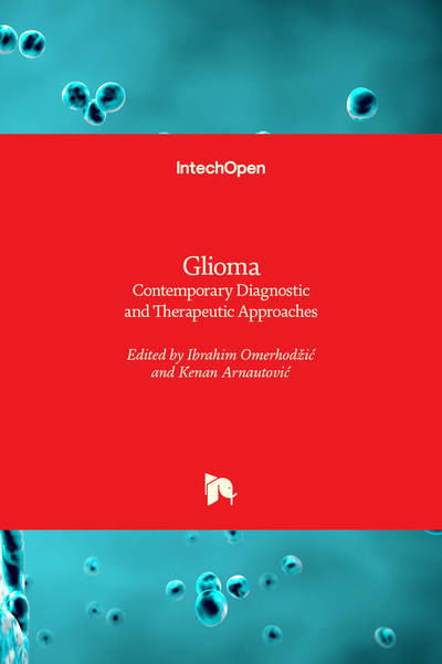 Cover for Ibrahim Omerhodzic · Glioma (Hardcover Book) (2019)