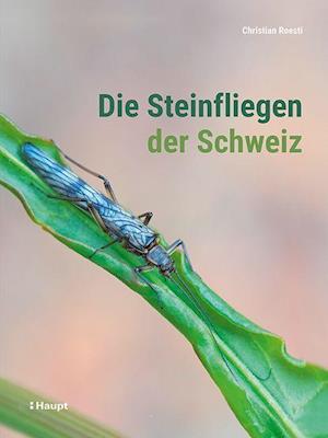 Cover for Christian Roesti · Die Steinfliegen der Schweiz (Gebundenes Buch) (2021)