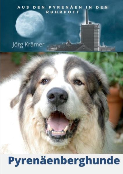Cover for Joerg Kramer · Pyrenaenberghund - Aus den Pyrenaen in den Ruhrpott (Paperback Book) (2021)