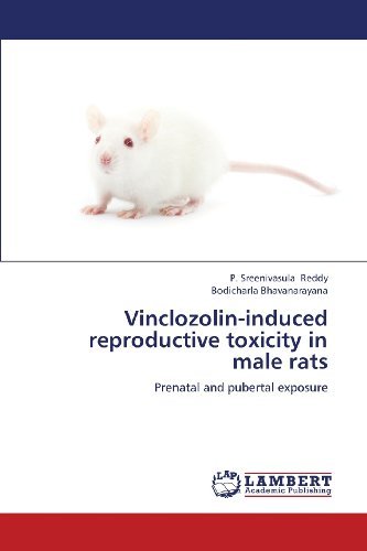Cover for Bodicharla Bhavanarayana · Vinclozolin-induced Reproductive Toxicity in Male Rats: Prenatal and Pubertal Exposure (Paperback Book) (2013)