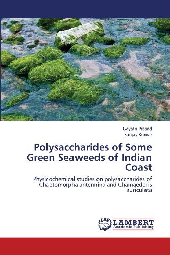 Cover for Sanjay Kumar · Polysaccharides of Some Green Seaweeds of Indian Coast: Physicochemical Studies on Polysaccharides of Chaetomorpha Antennina and Chamaedoris Auriculata (Pocketbok) (2013)