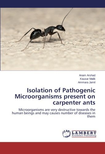 Cover for Ammara Jamil · Isolation of Pathogenic Microorganisms Present on Carpenter Ants: Microorganisms Are Very Destructive Towards the Human Beings and May Causes Number of Diseases in Them (Pocketbok) (2014)