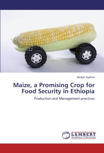 Cover for Dereje Ayalew · Maize, a Promising Crop for Food Security in Ethiopia: Production and Management Practices (Paperback Bog) (2011)