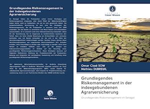 Cover for Sow · Grundlegendes Risikomanagement in d (Book)