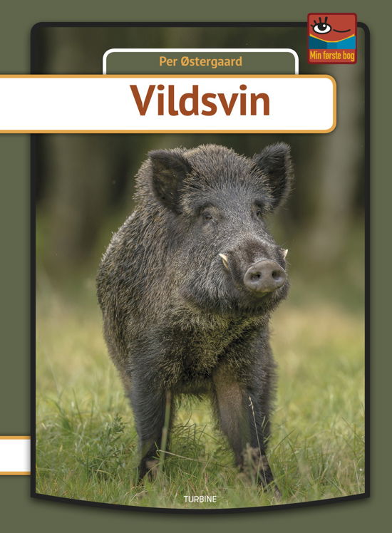 Per Østergaard · Min første bog: Vildsvin (Hardcover Book) [1. Painos] (2019)