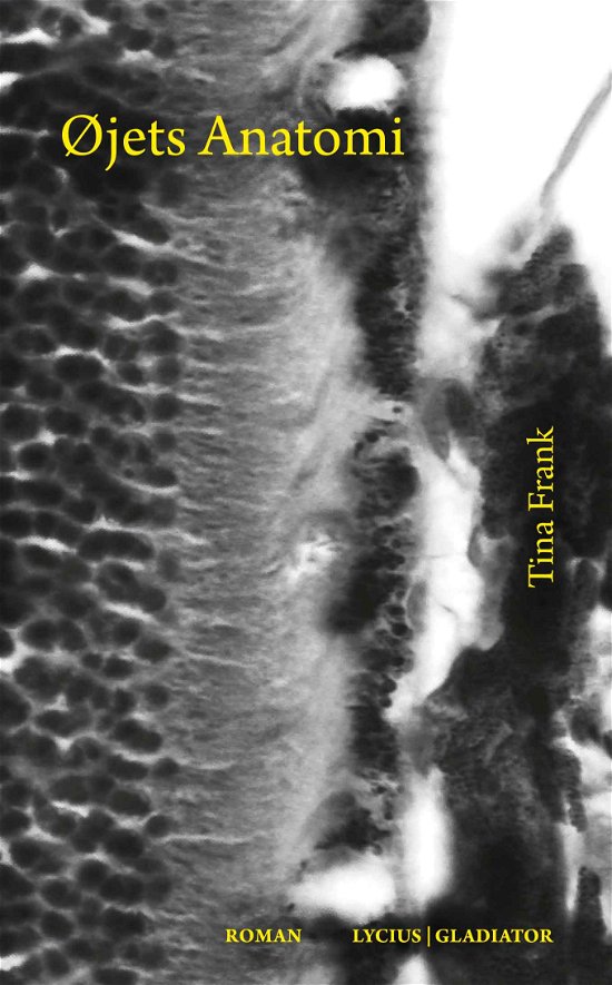 Cover for Tina Frank · Øjets anatomi (Sewn Spine Book) [1.º edición] (2020)