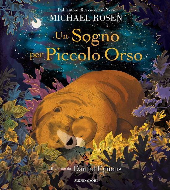 Cover for Michael Rosen · Un Sogno Per Piccolo Orso. Ediz. A Colori (Book)