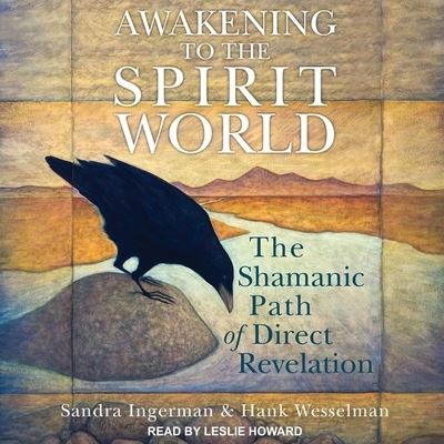 Cover for Sandra Ingerman · Awakening to the Spirit World (CD) (2019)