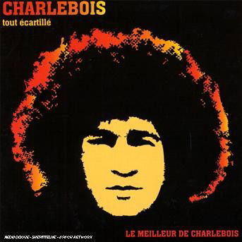 Cover for Robert Charlebois  · Tout Ecarquille (CD)