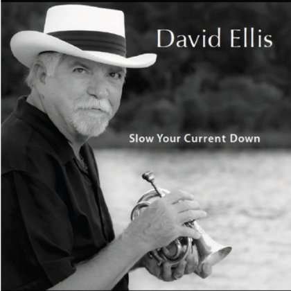 Cover for David Ellis · Slow Your Current Down (CD) (2013)