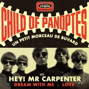 Cover for Child Of Panoptes · Un Petit Morceau de Buvard (LP) (2024)