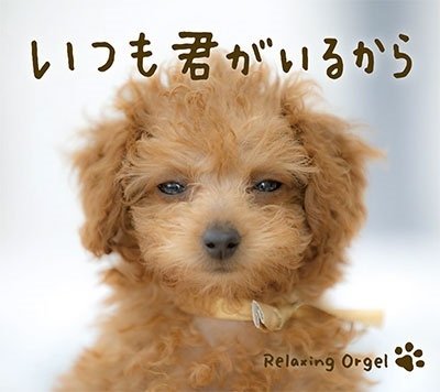 Cover for (Orgel) · Itsumo Kimi Ga Irukara (CD) [Japan Import edition] (2022)