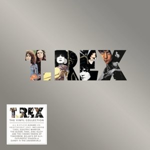 Vinyl Collection - T. Rex - Muziek - EDSEL - 5014797891531 - 20 maart 2017