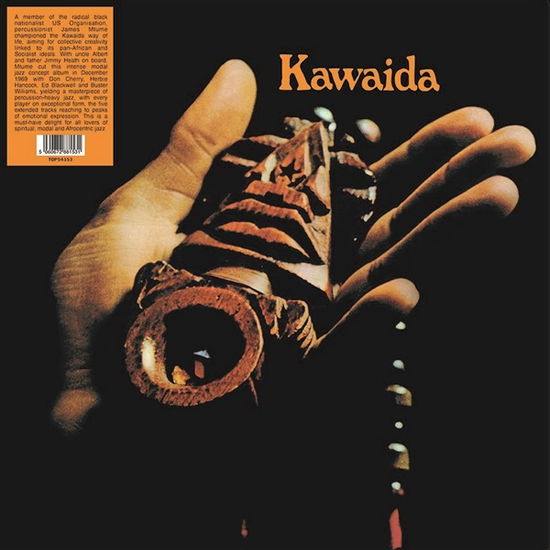 Cover for Kawaida (LP) (2025)