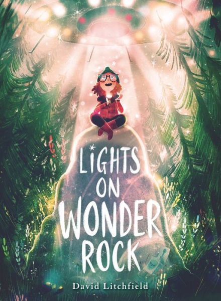 Lights on Wonder Rock - David Litchfield - Bøker - Houghton Mifflin Harcourt Trade & Refere - 9780358359531 - 8. september 2020