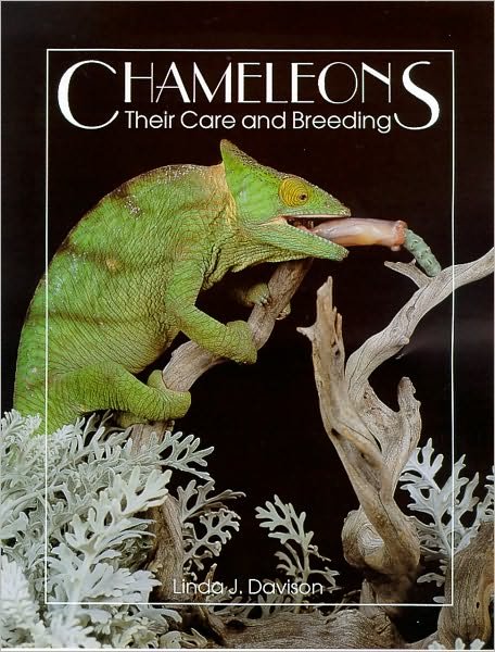 Cover for Linda Davison · Chameleons: Their Care and Breeding (Pocketbok) (1997)