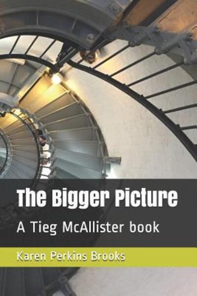 Cover for Karen Perkins Brooks · The Bigger Picture A Tieg McAllister book (Paperback Book) (2019)