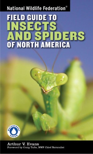 Cover for Arthur V. Evans · National Wildlife Federation Field Guide to Insects and Spiders &amp; Related Species of North America (Paperback Bog) [5.1.2007 edition] (2007)