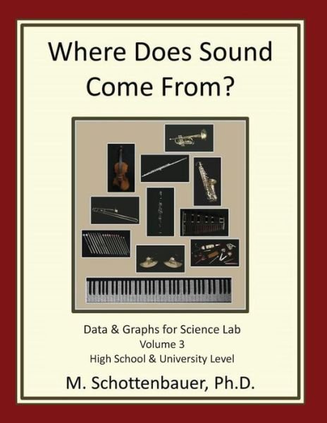 Cover for M Schottenbauer · Where Does Sound Come From? Data &amp; Graphs for Science Lab: Volume 3 (Paperback Bog) (2013)