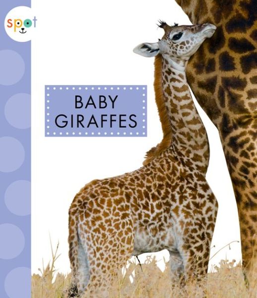 Cover for K. C. Kelley · Baby Giraffes (Book) (2018)