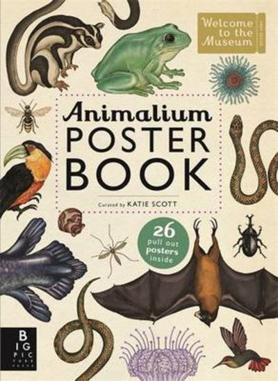 Animalium Poster Book - Welcome To The Museum - Lily Murray - Książki - Templar Publishing - 9781783703531 - 1 października 2015