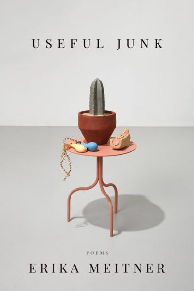Useful Junk - American Poets Continuum Series - Erika Meitner - Bøger - BOA Editions, Limited - 9781950774531 - 19. maj 2022