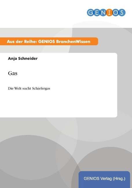Cover for Anja Schneider · Gas: Die Welt sucht Schiefergas (Paperback Book) (2015)