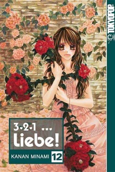 Cover for Minami · 3,2,1 Liebe!12 (Book)