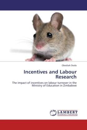 Cover for Dodo · Incentives and Labour Research (Bog)