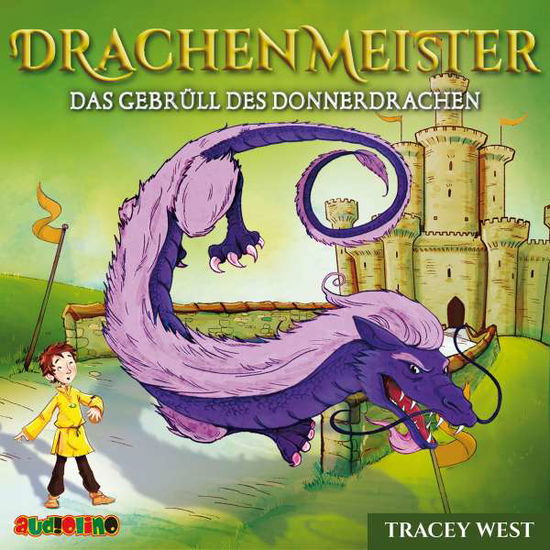 CD Drachenmeister Band 8 - Das - Tracey West - Music - Audiolino - 9783867373531 - 