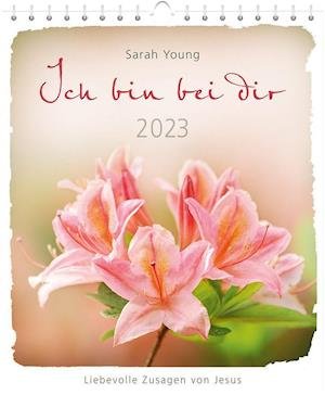 Ich bin bei dir 2023 - Postkartenkalender - Sarah Young - Koopwaar - Gerth Medien GmbH - 9783957348531 - 26 mei 2022