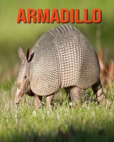 Cover for William Doyle · Armadillo (Paperback Book) (2020)