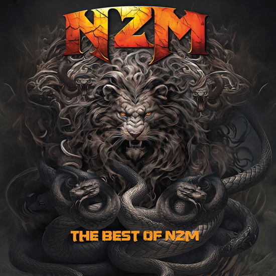 Cover for Nzm · The Best of Nzm (LP) (2024)