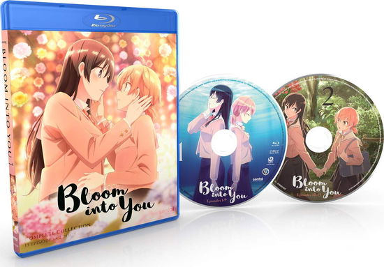 Cover for Bloom into You (Blu-ray) (2019)