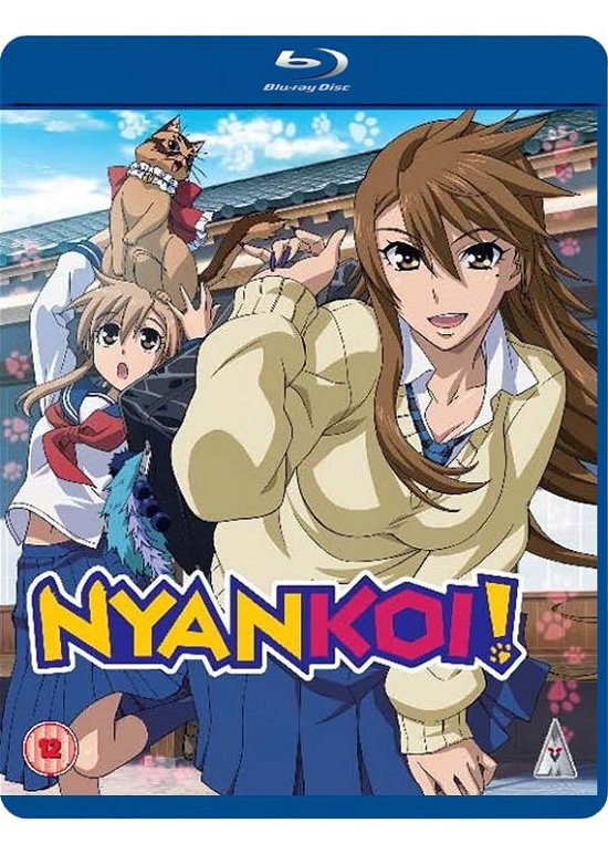 Nyan Koi! Collection - Anime - Elokuva - MVM - 5060067006532 - tiistai 22. helmikuuta 2022