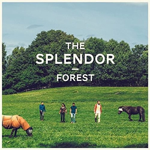 Forest - Splendor - Musik - Hoob Records - 7320470193532 - 8. Oktober 2014