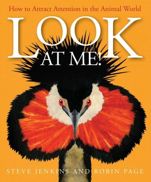 Cover for Robin Page · Look at Me! How to Attract Attention in the Animal World (Hardcover Book) (2018)