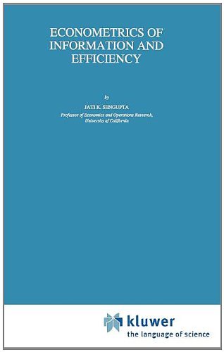 Cover for Jati Sengupta · Econometrics of Information and Efficiency - Theory and Decision Library B (Hardcover bog) [1993 edition] (1993)