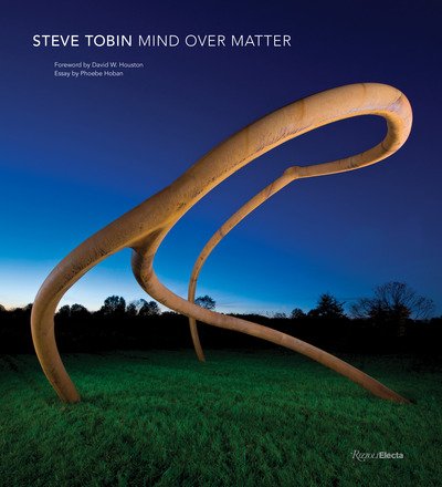 Cover for David Houston · Steve Tobin: Mind Over Matter (Gebundenes Buch) (2019)