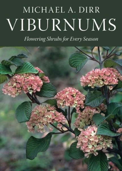 Viburnums - Michael A. Dirr - Books - Timber Press - 9780881928532 - October 1, 2007