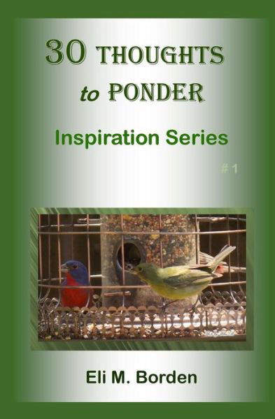 Cover for Eli M Borden Phd · 30 Thoughts to Ponder: Inspiration Series #1 (Paperback Book) (2014)